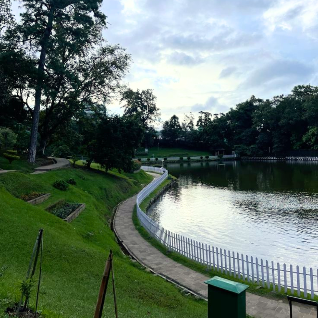 Wards Lake